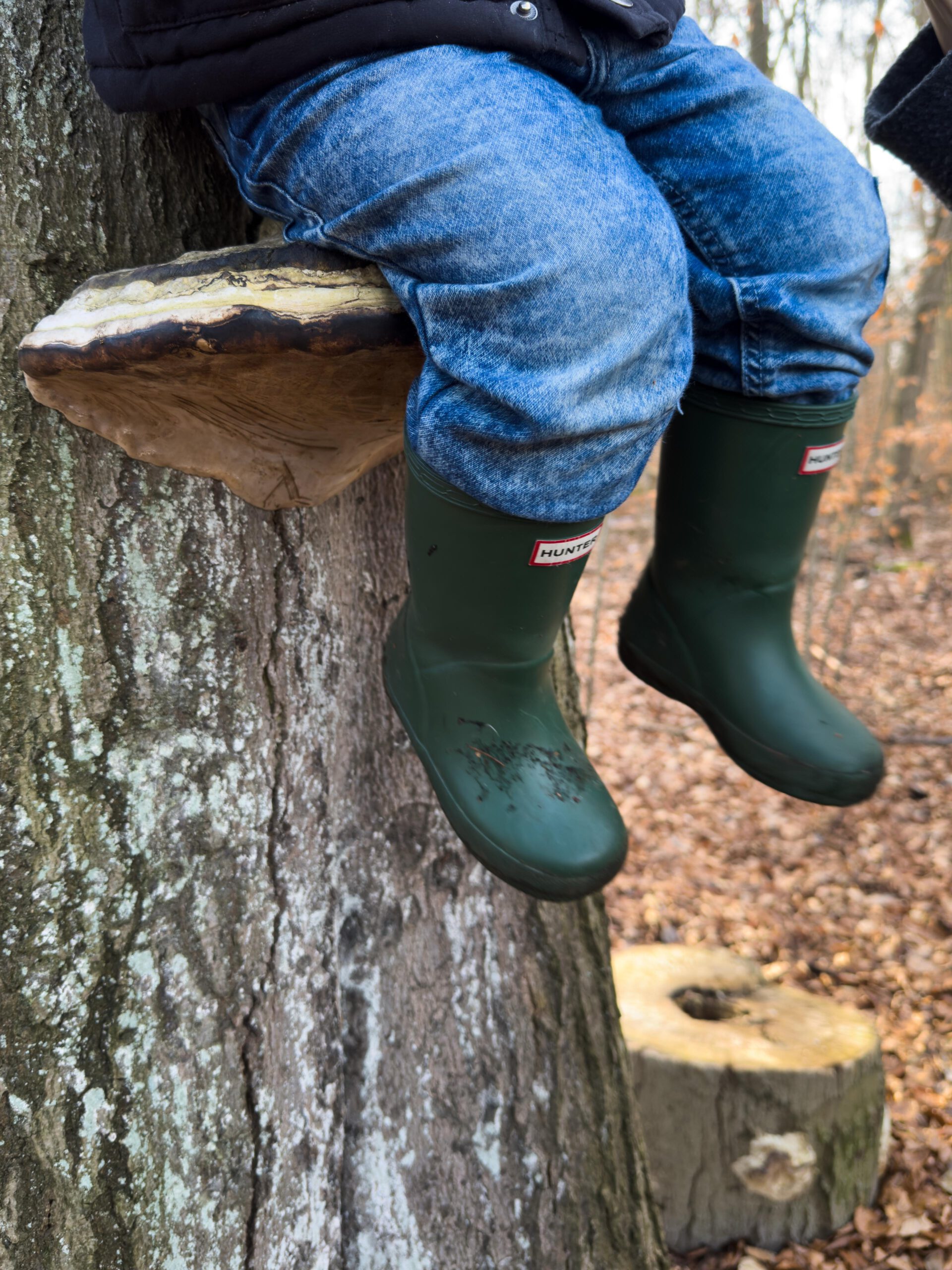 Kind entdeckt einen großen Baumpilz im Herbstwald