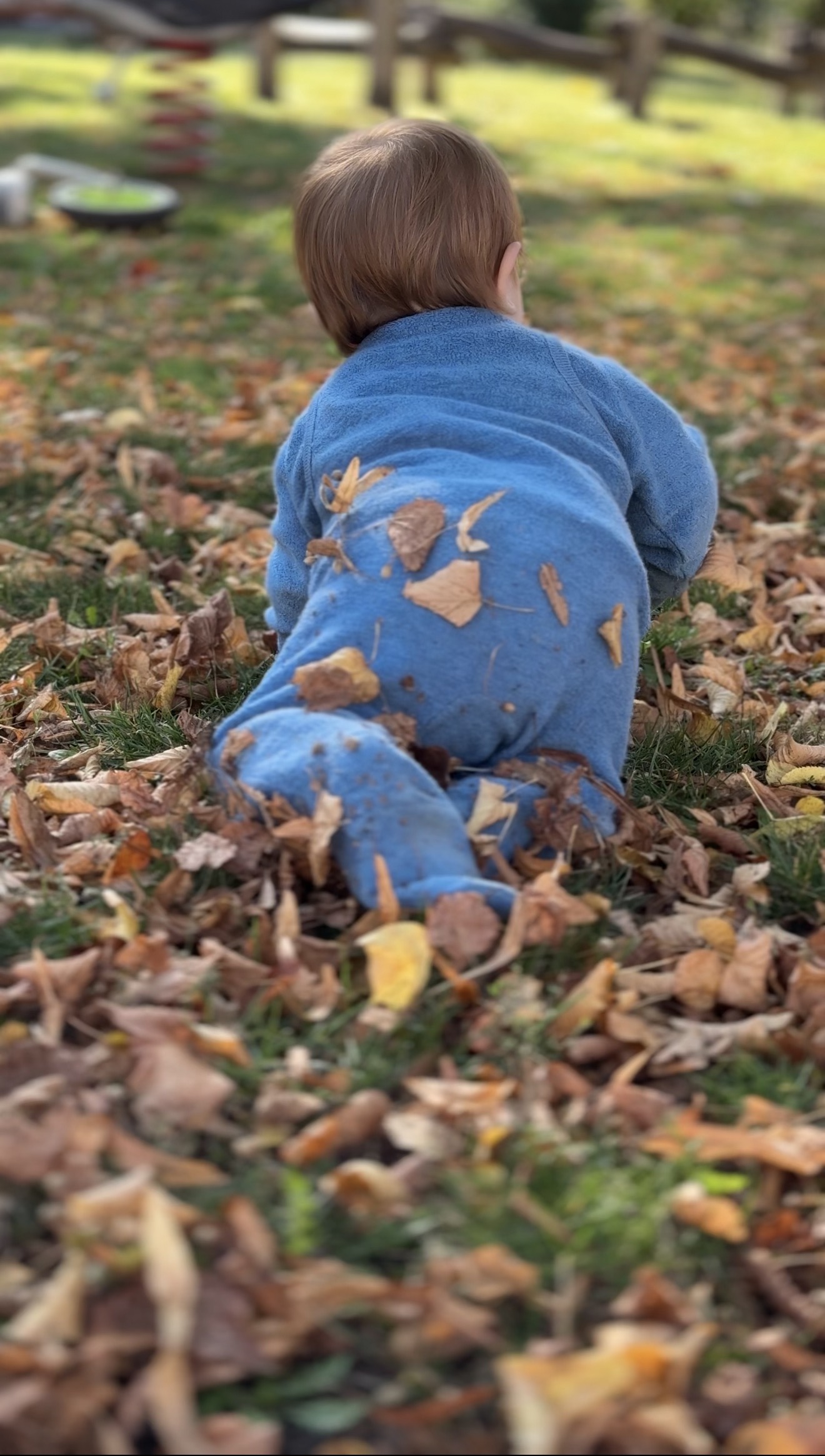 Kleinkind in warmer Wollwalk-Kleidung spielt im Herbstlaub