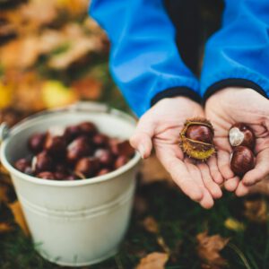 Kind h&auml;lt gesammelte Kastanien in den H&auml;nden &ndash; Herbst Bucket List f&uuml;r Familien