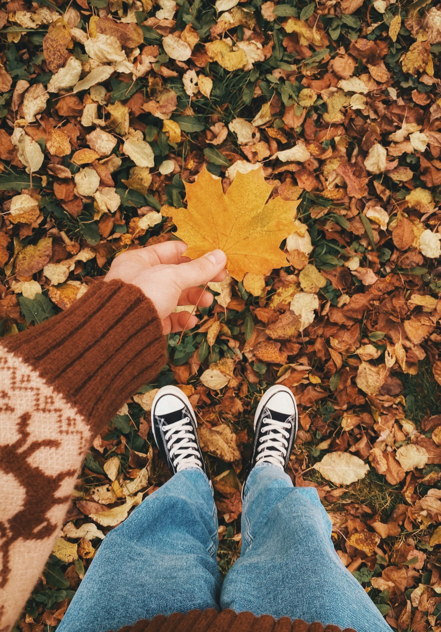 Person hält ein einzelnes gelbes Herbstblatt über einem Boden voller Laub