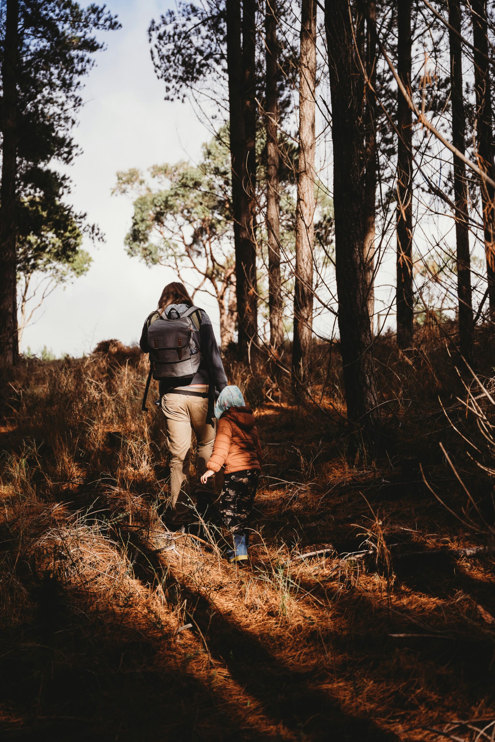 Mutter und Kind gehen gemeinsam durch einen herbstlichen Wald